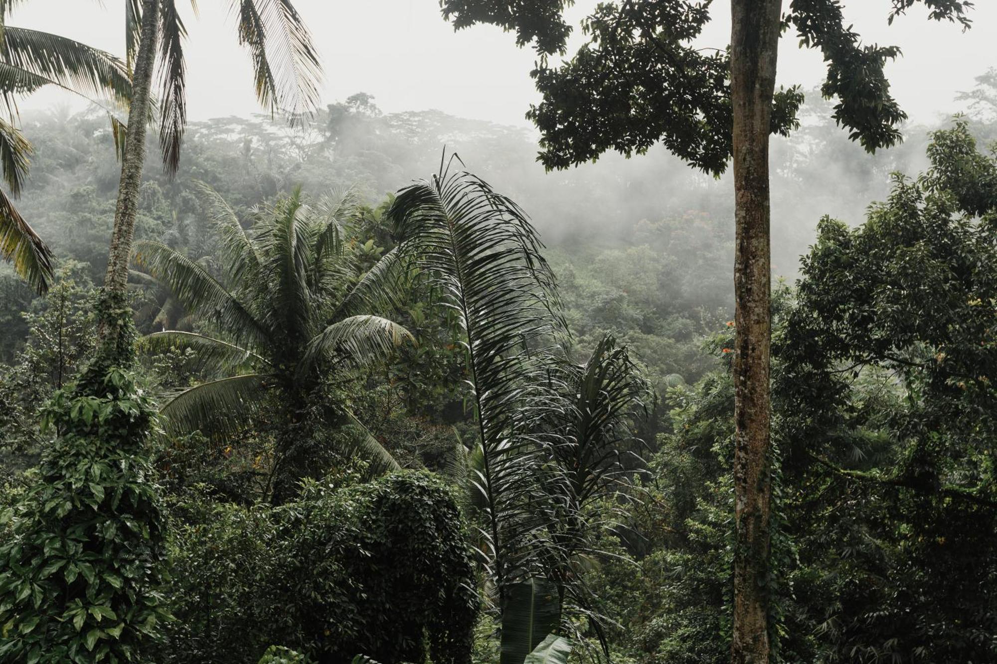 The Iyang Ubud Exterior photo